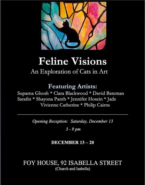 Feline Visions